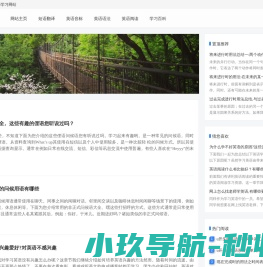 英语翻译