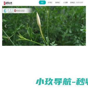 广州市元雅文化有限公司