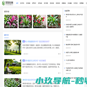 茶文化网|茶文化深度解读与知识分享|品茶艺·学茶史·悟茶道·享健康茶生活