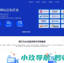 软件网站定制开发公司