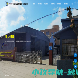 宁波市星益模具有限公司