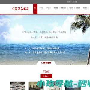 文昌强弘椰品有限公司