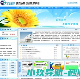 陕西去病药业有限公司陕西去病制药