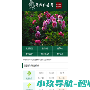 菏泽牡丹网 - 菏泽牡丹花会宣传网站!
