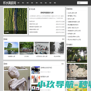 网站截图