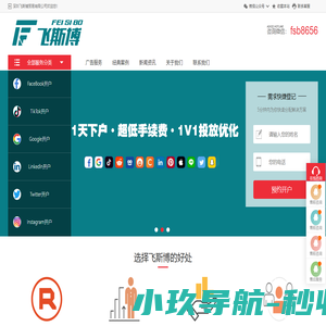 飞斯博-企业海外营销推广-公司出海广告账户代理商