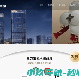 星力集团