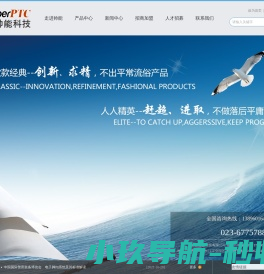 重庆帅能科技有限公司