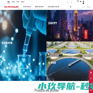 气动执行器丨美国西美尔CN