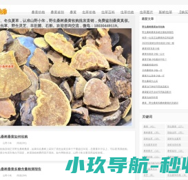 桑黄价格多少钱一斤
