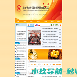 桐城银桥融资担保网-桐城市银桥融资担保有限公司