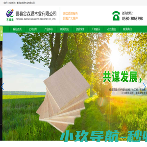 曹县金森源木业有限公司|金基板材|吉祥果生态板|庄寨生态板生产厂家