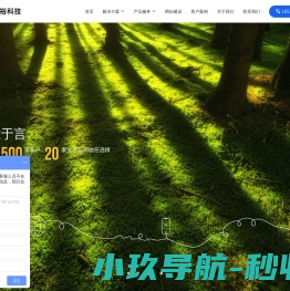 站群系统
