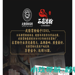 重庆市武隆苕粉集团有限公司