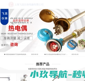 上海飞龙仪表电器有限公司