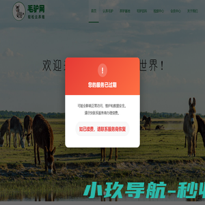 英大驴掌柜毛驴网