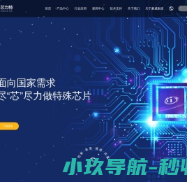 湖南芯力特电子科技有限公司