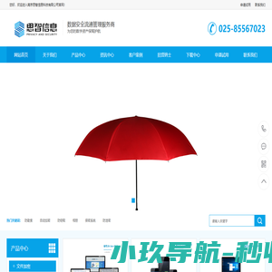 数据安全管理专家