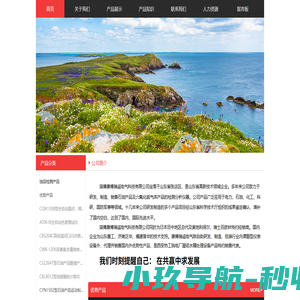 淄博康博瑞诚电气科技有限公司