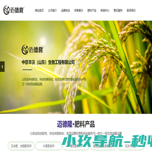 中京丰沃（山东）生物工程有限公司,菌肥,冲施肥系列,花生专用肥,高氮提苗返青肥