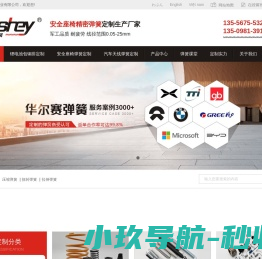 广东华尔赛弹簧实业有限公司