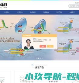 亚克隆,RNAi干扰检测,miRNA定量检测