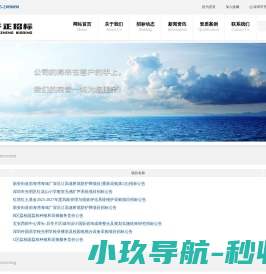 深圳市开正信息工程咨询有限公司