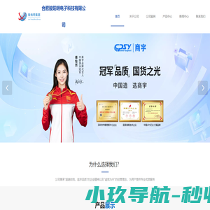 合肥骏阳明电子科技有限公司