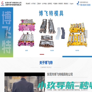 东莞市博飞特模具有公司