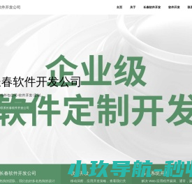 长春软件外包公司