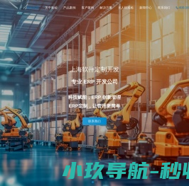上海软件定制开发