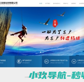 浙江三龙催化剂有限公司