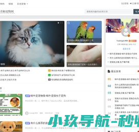 网站截图