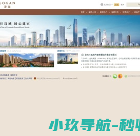 龙光控股集团