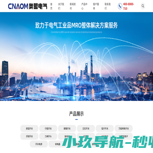 奥盟电气集团有限公司