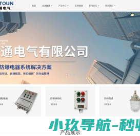 隆通电气有限公司