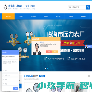 高压氮气减压器-高压氧气减压器-试验室减压器-临海市压力表厂(有限公司)