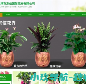 大顺花卉