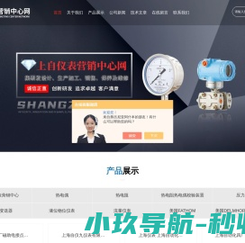 网站截图