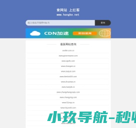 查网站SEO信息