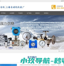 上海自动化仪表三厂