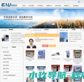 氧化锆氧气分析仪,电化学氧气分析仪,5100氧气分析仪,热导式氢气分析仪