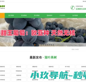 特色果树苗木中林种苗基地供应西梅苗葡萄苗草莓苗苹果苗樱桃苗桃苗桔子苗