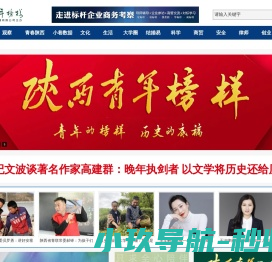 陕西青年榜样网