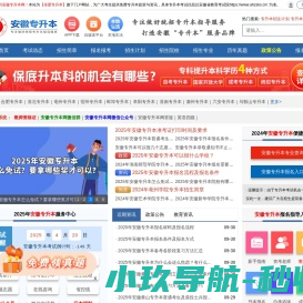 网站截图