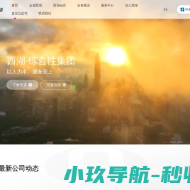 深圳市西湖股份有限公司