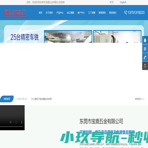 东莞市宝鹿五金有限公司-304 扁头半空心铆钉,弹性销,烤漆螺丝定制 ,花轴销钉产品定制,挡圈,化学锚栓背栓,蝶形螺丝,钻尾螺丝,波珠柱塞螺丝,U型螺栓,点胶防松处理类,精密车床加工定制,宝鹿五金