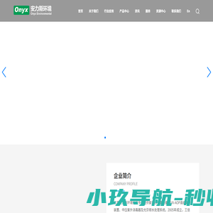 安力斯环境
