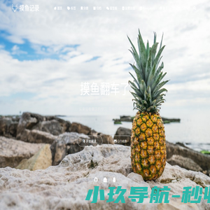 摸鱼记录