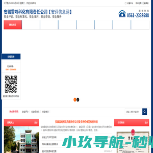 安徽雷鸣科化有限责任公司安全评价信息网